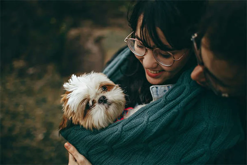 Benazepril for Dogs: Vet-Approved Uses, Dosage & Side Effects